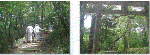f0231709_15562511.gif