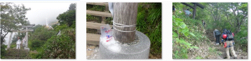 f0231709_16154252.gif