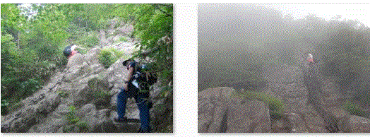 f0231709_16172356.gif