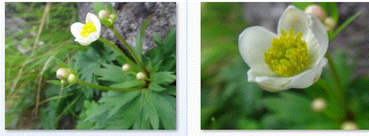 f0231709_16202867.gif