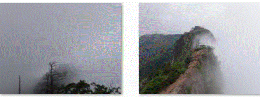 f0231709_1628928.gif