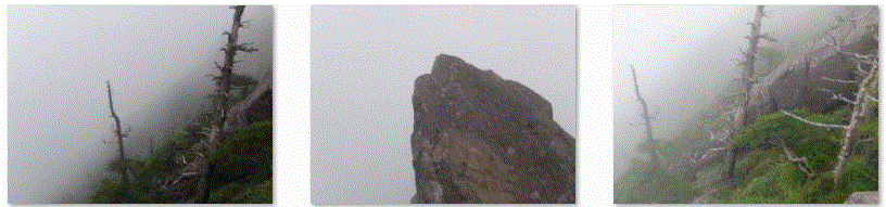 f0231709_16312360.gif