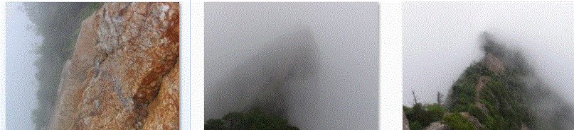 f0231709_16322729.gif