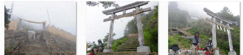 f0231709_16342425.gif
