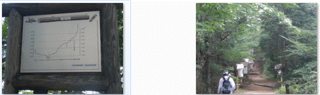 f0231709_1958617.gif