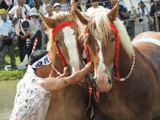 御田祭（７・０３）_f0083712_931319.jpg