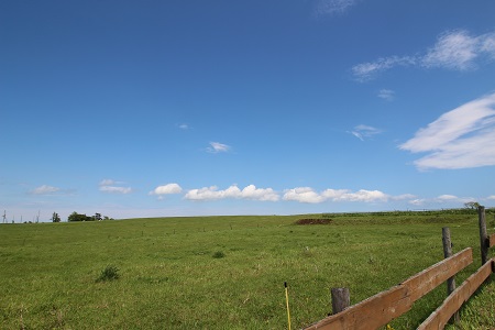 c0200413_11342898.jpg