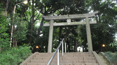 代々木八幡宮の大祓式に参加しました。_d0029716_23541592.jpg