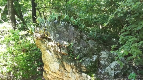 b0308627_12224174.jpg