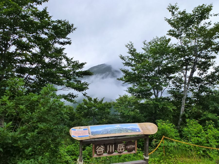f0147828_659321.jpg
