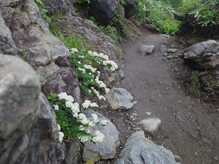 f0147828_7144133.jpg