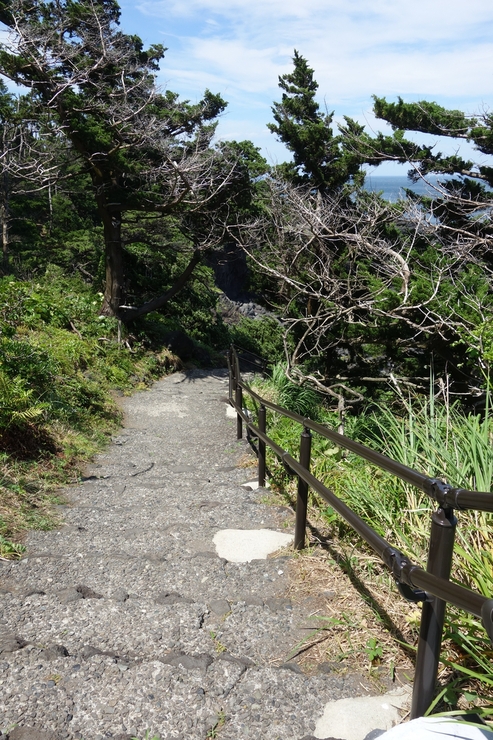 駆け足で巡る静岡県伊東市2016 その6~門脇灯台 城ヶ崎海岸_a0287336_20284687.jpg