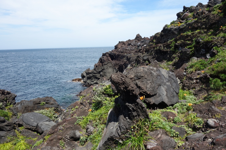 駆け足で巡る静岡県伊東市2016 その6~門脇灯台 城ヶ崎海岸_a0287336_20294935.jpg
