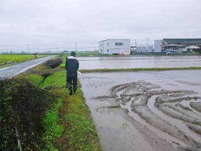 七城米 長尾農園 こだわりの米作り!代かき編_a0254656_17351912.jpg