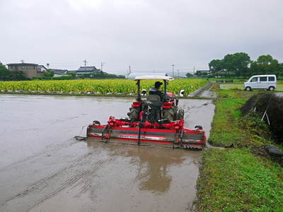 七城米 長尾農園 こだわりの米作り!代かき編_a0254656_17595632.jpg