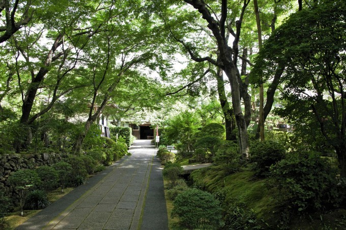 浜松市北区　【龍潭寺（りょうたんじ）】_e0347862_22075977.jpg