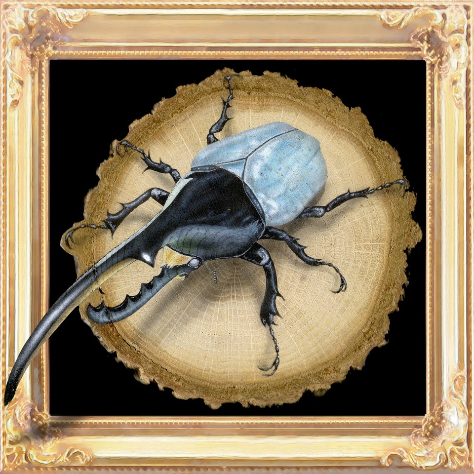 【展覧会】7/11〜7/16 6ギャラリー合同企画展 6SSF_a0021565_2273128.jpg