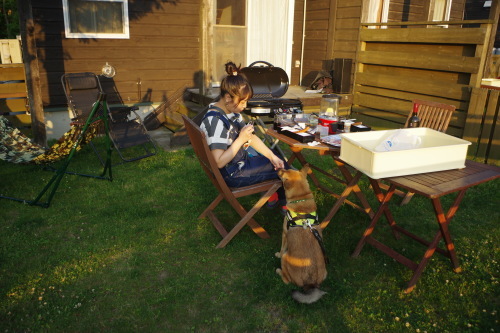 c0364176_06254063.jpeg