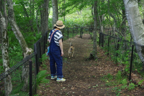 c0364176_06310268.jpeg