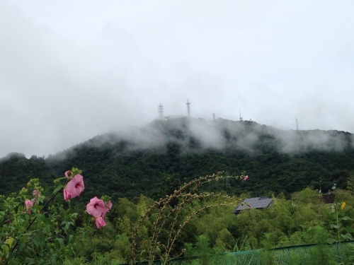 f0315081_21222575.jpeg