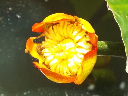 e0145782_1704070.jpg