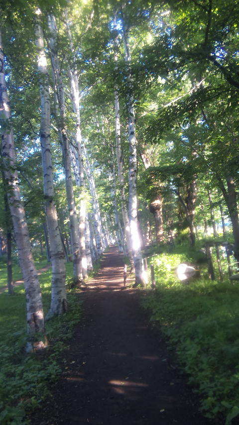 e0041688_23125808.jpg