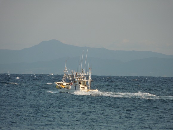 7月16日と17日は大間原発反対集会と大マグロック_a0292602_20351227.jpg