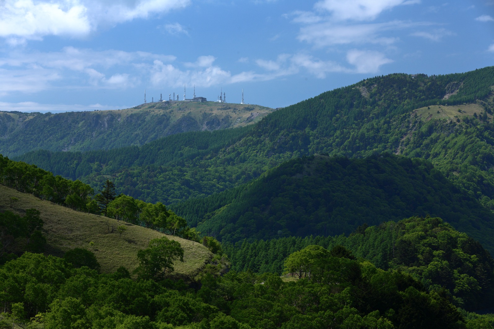 a0155104_1642245.jpg