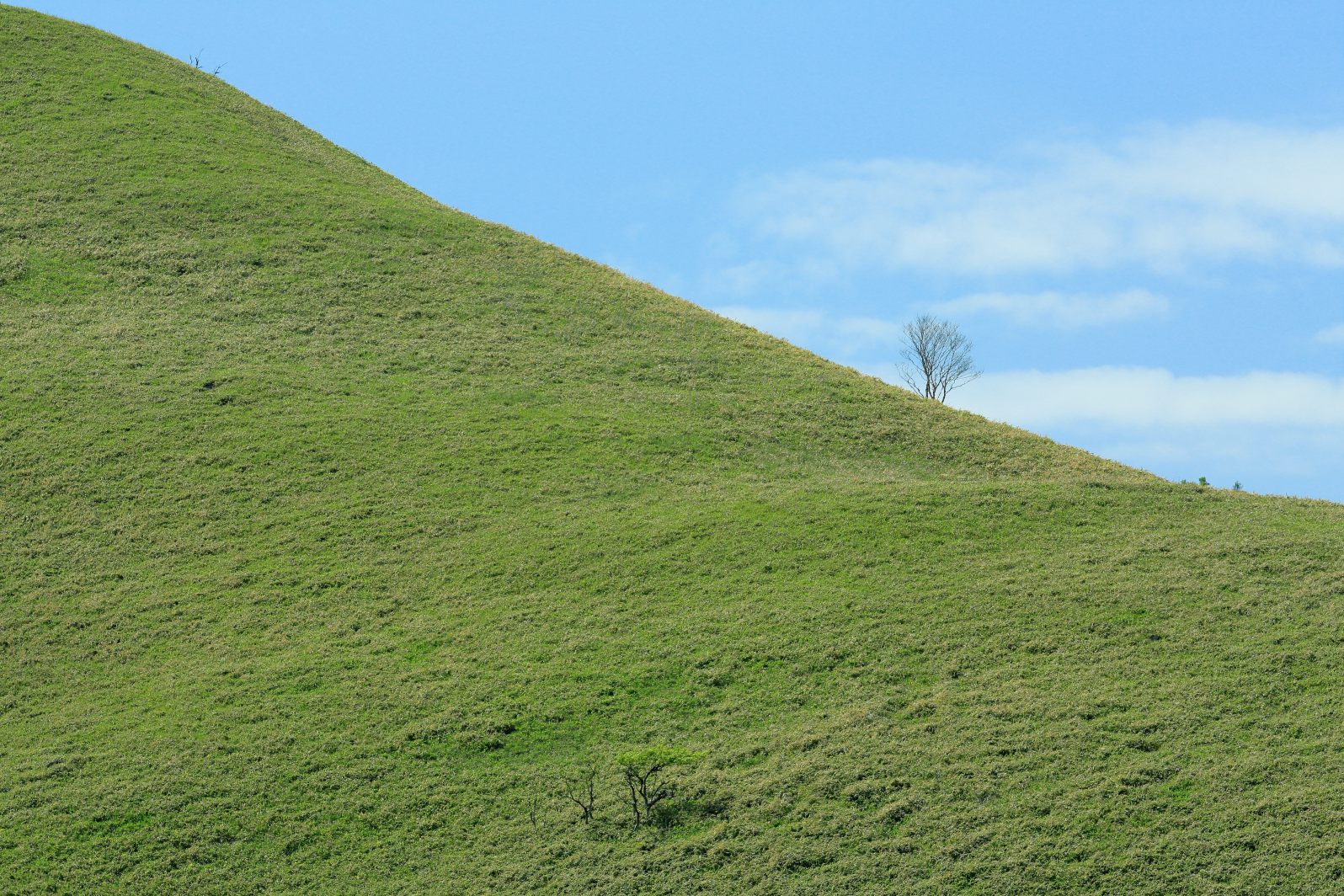 a0155104_16425257.jpg