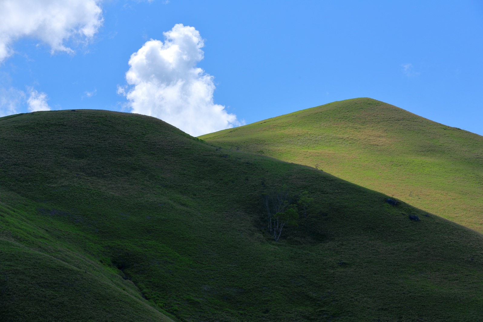 a0155104_16425461.jpg