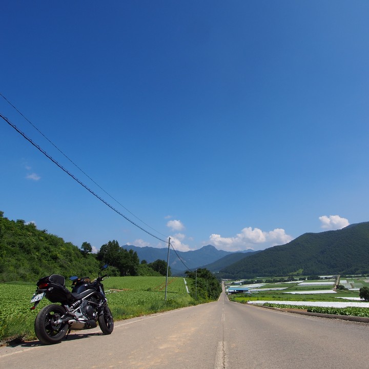 a0268412_084999.jpg
