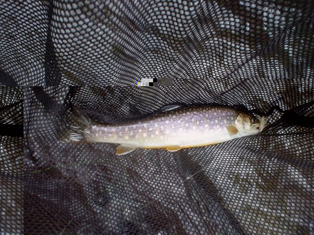 f0280717_72878.jpg