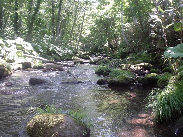 f0280717_79192.jpg