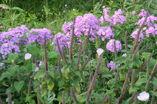 c0107129_20282788.jpg