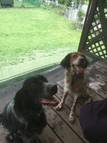 b0369239_11392123.jpeg