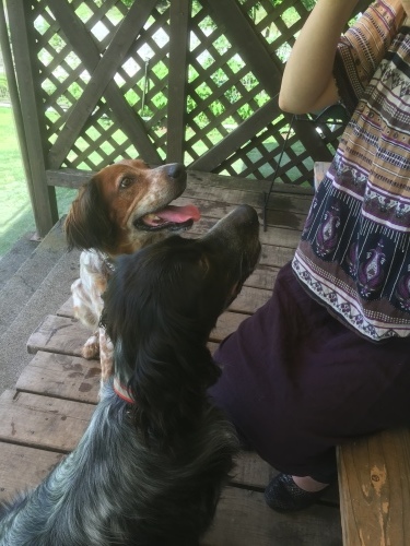 b0369239_11393501.jpeg