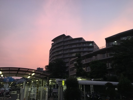 b0330040_01372925.jpg