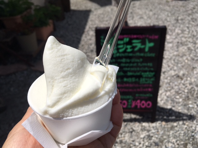 きょうは参議院選挙！＆選挙割でジェラート♪_f0019247_1636335.jpg