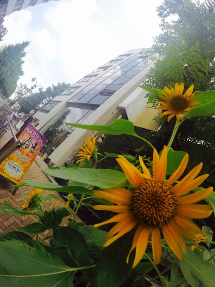 7月10日 渋谷 原宿 の自転車屋 FLAME bike前です_e0188759_18283689.png