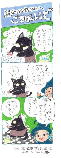 太陽と月の魔女の秘密 byJUNGLE RAY MIZUNO_f0326160_09330318.jpg