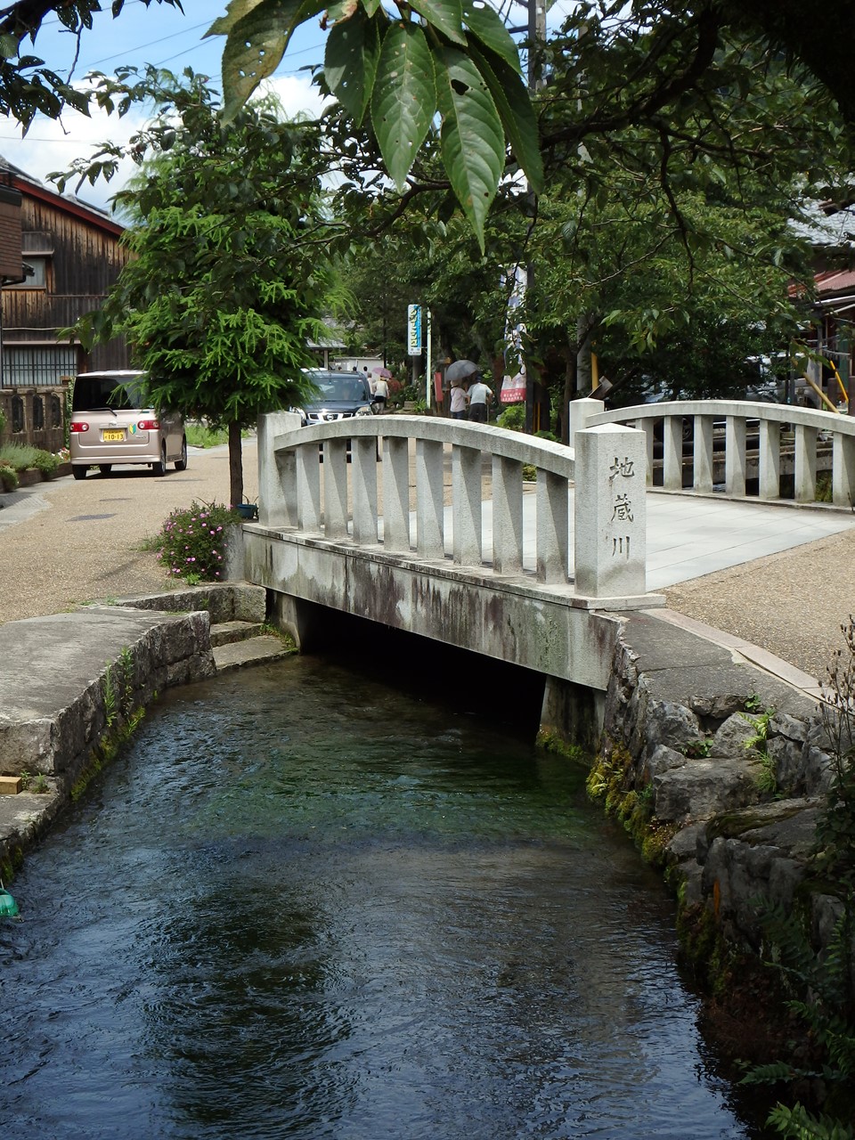 醒ヶ井地蔵川の梅花藻 自然風の自然風だより