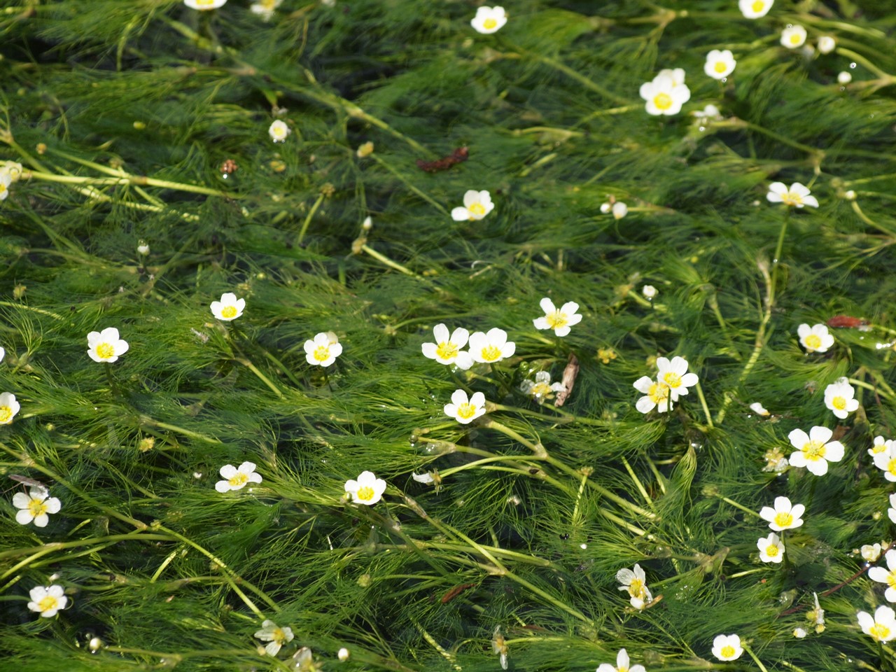 d0054276_19464527.jpg