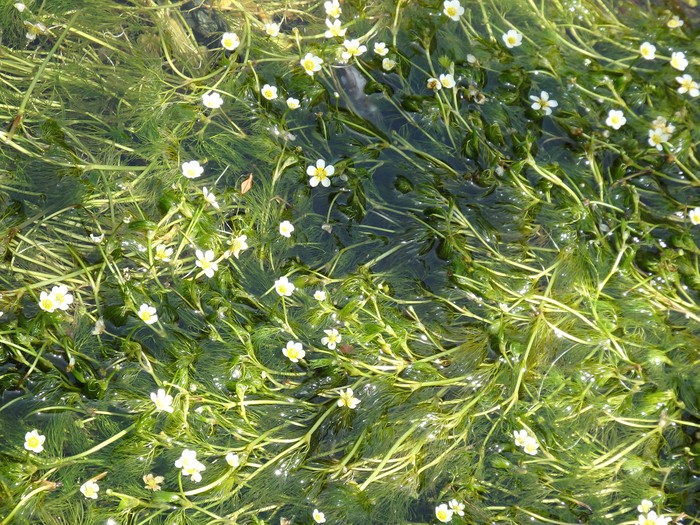 d0054276_1947494.jpg