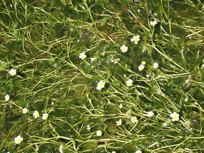 d0054276_1948535.jpg