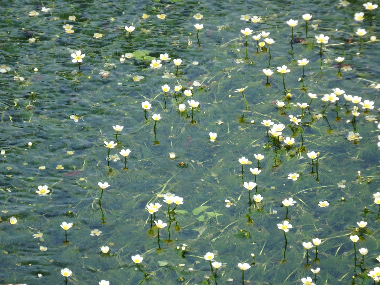 d0054276_19493057.jpg