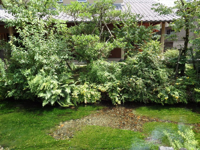 d0054276_1953278.jpg
