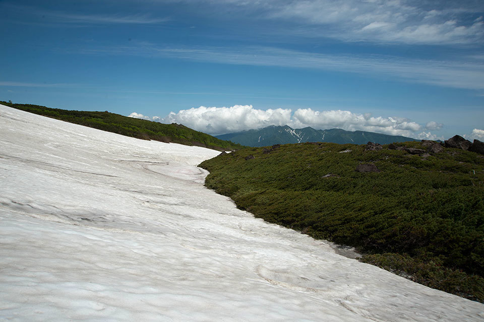 f0109977_12520094.jpg