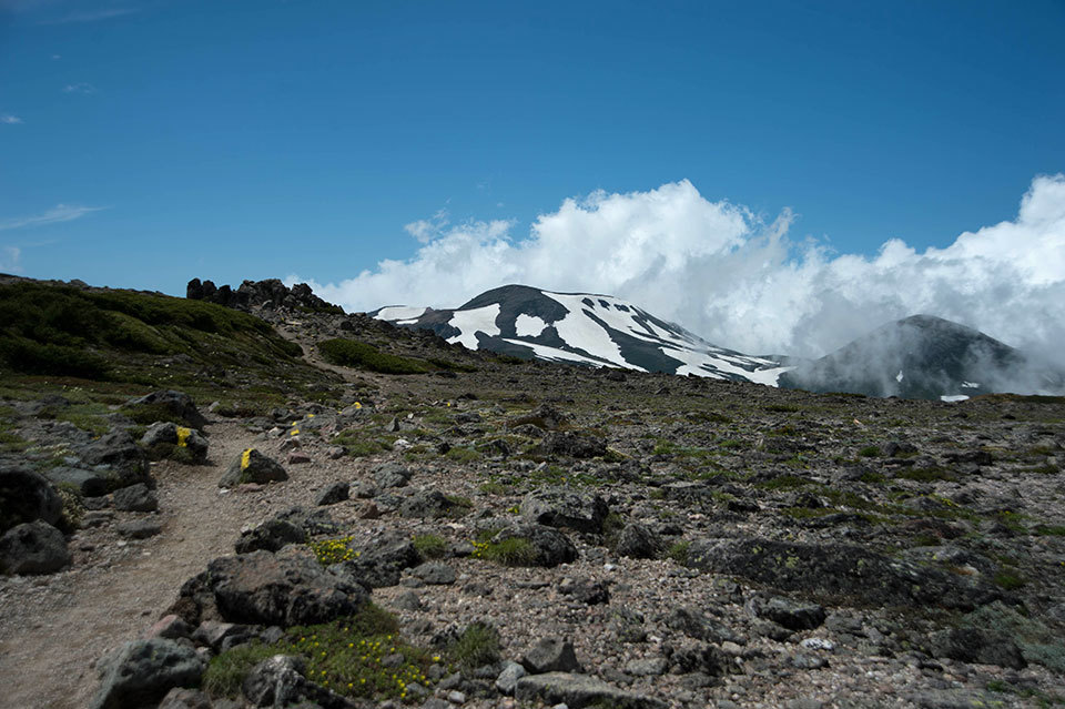 f0109977_13465824.jpg