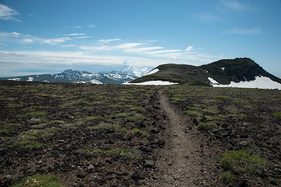 f0109977_17232676.jpg