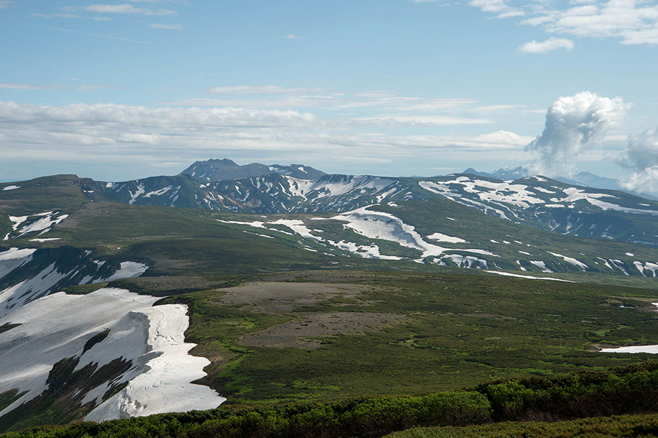 f0109977_19535162.jpg
